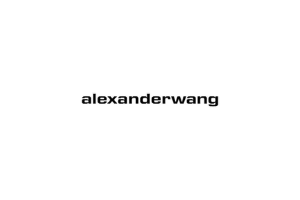 Collection image for: Alexander Wang