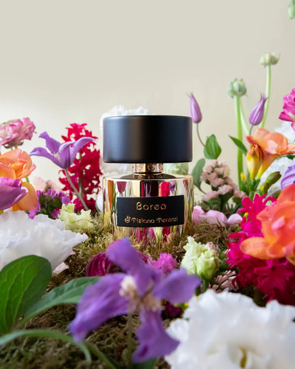 Tiziana Terenzi  Borea by 3.4 oz Extrait De Parfum Spray for Unisex