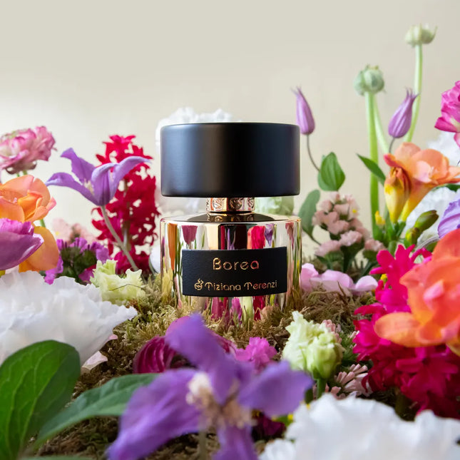 Tiziana Terenzi  Borea by 3.4 oz Extrait De Parfum Spray for Unisex
